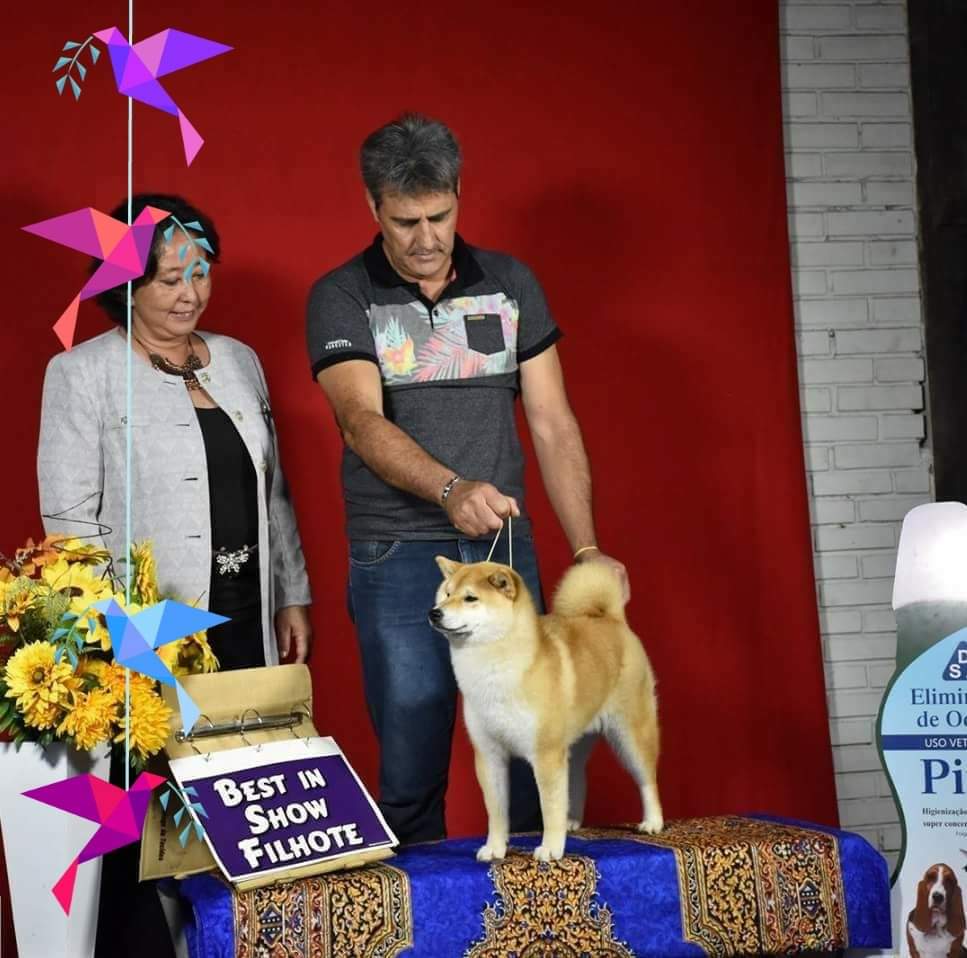 Russkaya en exposición