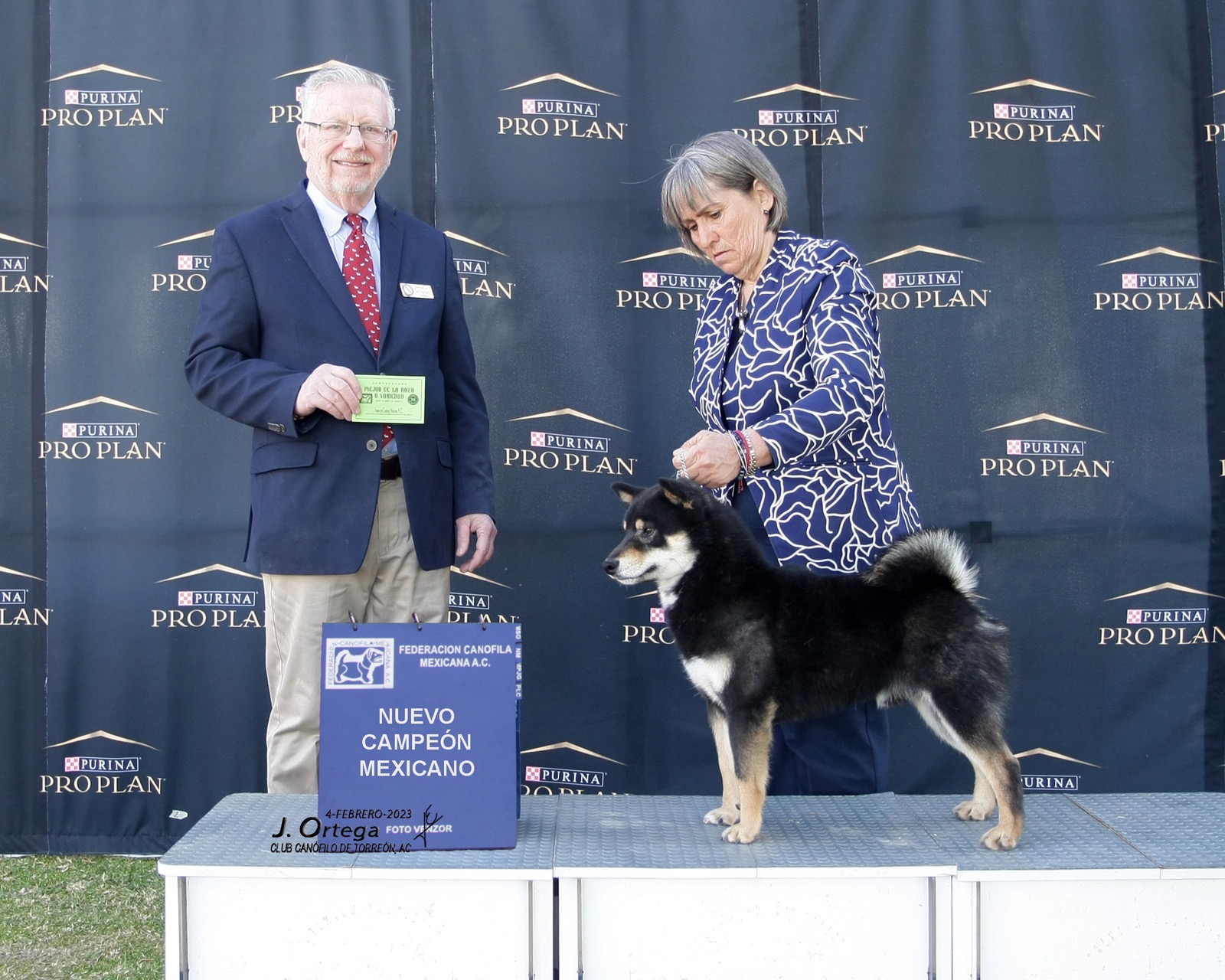Shiro Go Uzumaki, campeón mexicano Shiba Inu