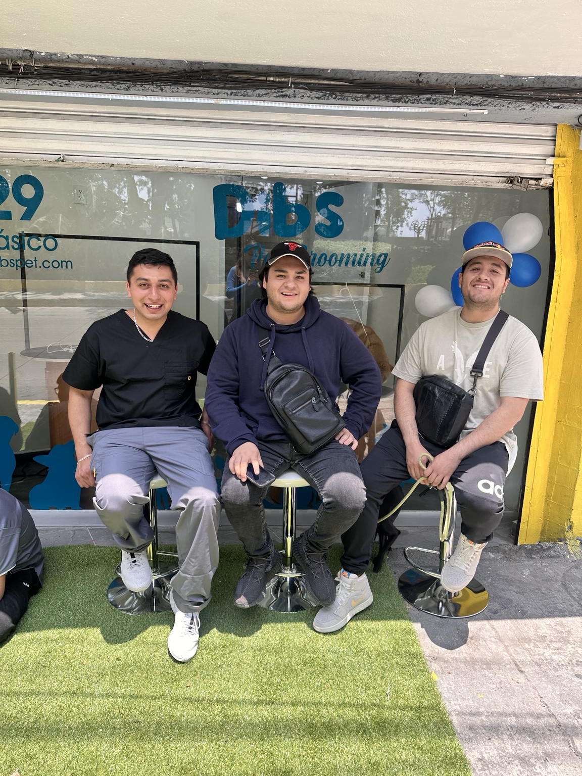 Apertura de proyecto veterinario